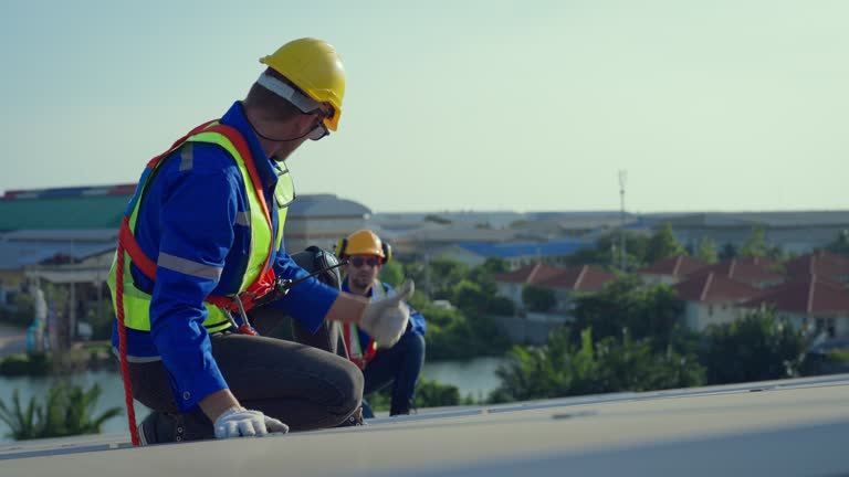 Best Chimney Flashing Repair  in Sitka, AK